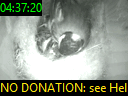 04:37:20