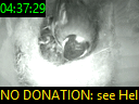 04:37:29