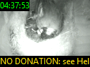 04:37:53