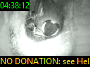 04:38:12