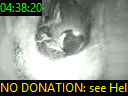 04:38:20
