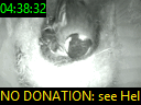 04:38:32