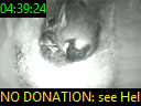 04:39:24