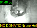 04:40:36