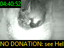 04:40:52
