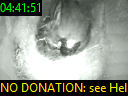 04:41:51