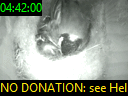04:42:00