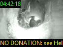04:42:18