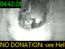 04:42:28