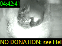 04:42:41