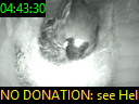 04:43:30