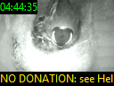 04:44:35