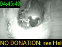 04:45:49