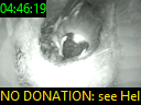 04:46:19