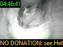 04:46:41