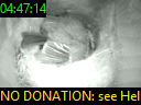 04:47:14