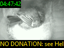04:47:42
