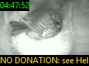 04:47:52