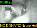 04:48:26