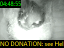 04:48:55