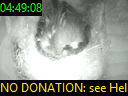 04:49:08