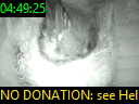 04:49:25