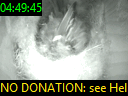 04:49:45