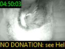 04:50:03