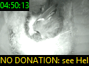 04:50:13
