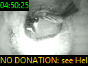 04:50:25