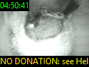 04:50:41