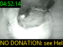 04:52:14