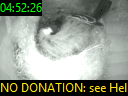 04:52:26