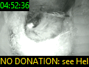 04:52:36