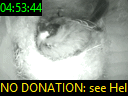 04:53:44