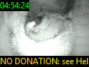 04:54:24