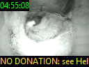 04:55:08