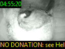 04:55:20