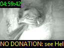 04:59:42