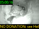 05:00:16