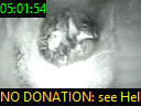 05:01:54
