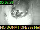 05:02:28