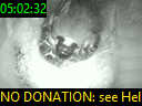 05:02:32