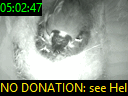 05:02:47