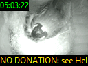 05:03:22