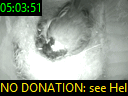 05:03:51