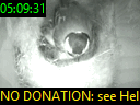 05:09:31