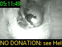 05:11:49