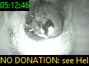 05:12:46