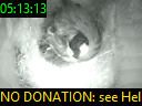 05:13:13